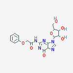 Structure of N2-PHENOXYACETYLGUANOSINE