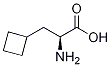 Structure of (Alphas)-Alpha-Aminocyclobutanepropanoic Acid