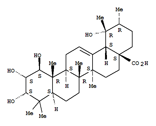 Structure of (1beta,2alpha,3alpha,5xi,18alpha)-1,2,3,19-tetrahydroxyurs-12-en-28-oic acid