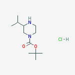 4-N-BOC-2-ISOPROPYLPIPERAZINE-HCL结构式