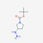 Structure of Tert-butyl 3-hydrazinylpyrrolidine-1-carboxylate