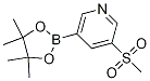 Structure of 3-(Methylsulfonyl)-5-(4,4,5,5-tetraMethyl-1,3,2-dioxaborolan-2-yl)pyridine