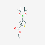 Structure of ethyl 4-(4,4,5,5-tetramethyl-1,3,2-dioxaborolan-2-yl)thiophene-2-carboxylate