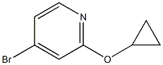 Structure of 4-broMo-2-cyclopropoxypyridine
