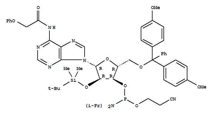N-blocked-5-O-DMT-2-O-TBDMS CED adenosine phosphoramidit结构式