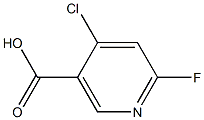 Structure of 4-chloro-6-fluoronicotinic acid