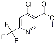 Structure of Methyl 4-chloro-6-(trifluoromethyl)nicotinate