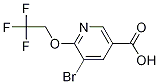 Structure of 5-broMo-6-(2,2,2-trifluoroethoxy)nicotinic acid