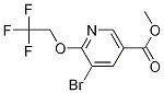 5-broMo-6-(2,2,2-trifluoroethoxy)nicotinic acid Methyl ester结构式