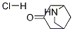 Structure of 6-azabicyclo[3.2.1]octan-3-one hydrochloride