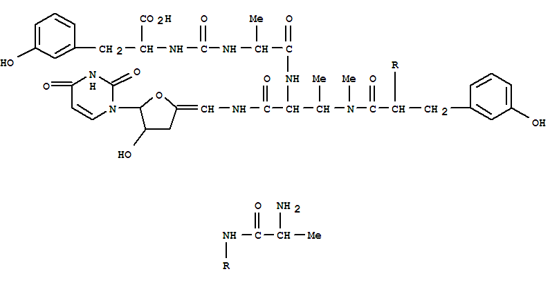 Structure of pacidamycin 3