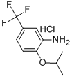 Structure of 2-ISOPROPOXY-5-TRIFLUOROMETHYL-PHENYLAMINE HYDROCHLORIDE