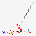Structure of 1-PALMITOYL-2-(5-OXOVALEROYL)-SN-GLYCERO-3-PHOSPHATIDYLCHOLINE