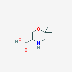 Structure of 6,6-diMethylMorpholine-3-carboxylic acid