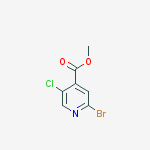 Structure of 2-bromo-5-chloroisonicotinic acid methyl ester