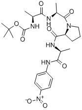 Structure of N-BOC-L-ALA-ALA-PRO-ALA-P-NITROANILIDE