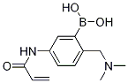 Structure of 5-Acrylamido-2-((dimethylamino)methyl)phenylboronic acid
