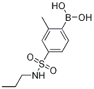 (2-Methyl-4-(N-propylsulfamoyl)phenyl)boronic acid结构式