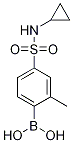 Structure of (4-(N-Cyclopropylsulfamoyl)-2-methylphenyl)boronic acid