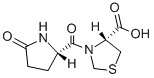 Structure of Pidotimod