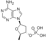 Structure of 2,5-dd-3-amp