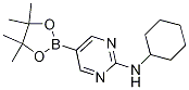 Structure of 2-(Cyclohexylamino)pyrimidine-5-boronic acid, pinacol ester