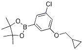Structure of 3-Chloro-5-cyclopropylmethoxyphenylboronic acid, pinacol ester
