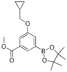 Structure of 3-Methoxycarbonyl-5-(cyclopropylmethoxy)phenylboronic acid, pinacol ester
