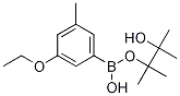 Structure of 2-(3-Ethoxy-5-methylphenyl)-4,4,5,5-tetramethyl-1,3,2-dioxaborolane