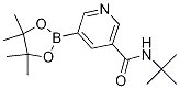 Structure of N-tert-butyl-5-(4,4,5,5-tetraMethyl-1,3,2-dioxaborolan-2-yl)nicotinaMide