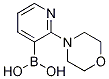 Structure of 2-(Morpholin-4-yl)pyridin-3-ylboronic acid