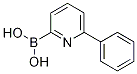 Structure of 6-Phenylpyridine-2-boronic acid
