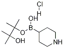 Structure of Piperidine-4-boronic acid pinacol ester HCl
