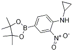 Structure of N-Cyclopropyl-2-nitro-4-(4,4,5,5-tetramethyl-1,3,2-dioxaborolan-2-yl)aniline