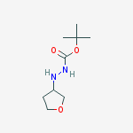 Structure of tert-butyl 2-(tetrahydrofuran-3-yl)hydrazinecarboxylate