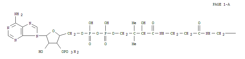 Structure of eicosapentaenoic acid-coenzyme A