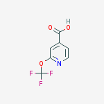 Structure of 2-(trifluoromethoxy)isonicotinic acid