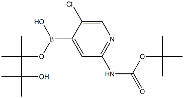 2-(TERTBUTYLOXYCARBONYLAMINO)-5-CHLOROPYRIDINE-4-BORONIC ACID PINACOL ESTER结构式