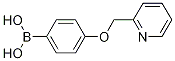 Structure of [4-(pyridin-2-ylmethoxy)phenyl]boronic acid