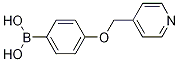 [4-(pyridin-4-ylmethoxy)phenyl]boronic acid结构式