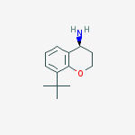 Chemical structure of (S)-8-tert-butylchroman-4-amine