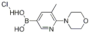 Structure of 5-Methyl-6-morpholinopyridin-3-ylboronic acidhydrochloride
