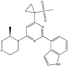 Cas Number: 1233339-22-4