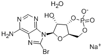 Structure of 8-BROMOADENOSINE-3,5-CYCLIC MONOPHOSPHATE SODIUM SALT HYDRATE