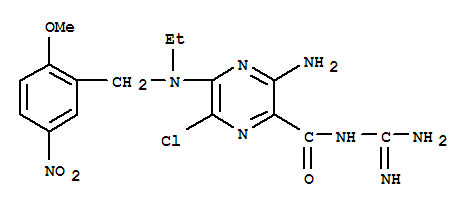 Structure of 5-(N-ethyl-(2-methoxy-5-nitrobenzyl))amiloride