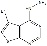 Structure of 5-BroMo-4-hydrazinylthieno[2,3-d]pyriMidine