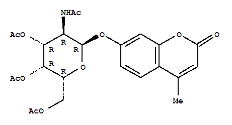 Structure of 4-Methylumbelliferyl2-acetamido-3,4,6-tri-O-acetyl-2-deoxy-b-D-glucopyranoside