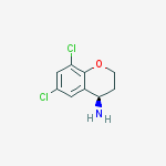 Structure of (4r)-6,8-dichloro-3,4-dihydro-2h-chromen-4-amine
