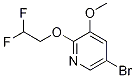 Structure of 5-broMo-2-(2,2-difluoroethoxy)-3-Methoxypyridine