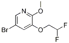 Structure of 5-broMo-3-(2,2-difluoroethoxy)-2-Methoxypyridine